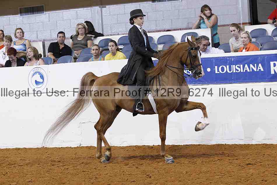 Proof 12r9_6274