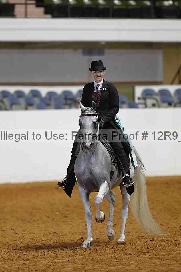 Proof 12r9_6287