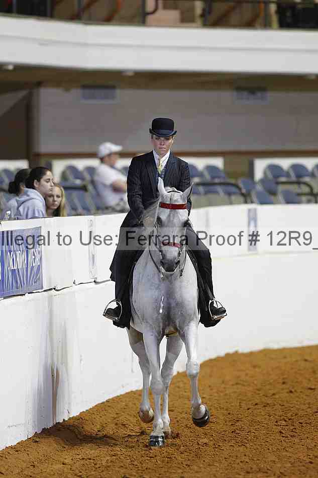 Proof 12r9_6291