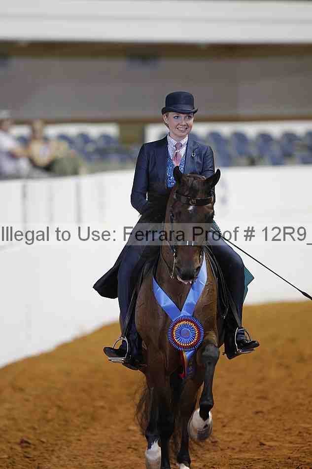 Proof 12r9_6304
