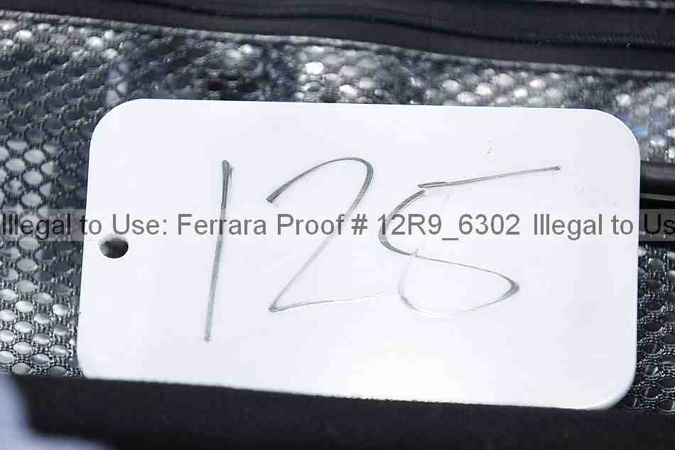 Proof 12r9_6302