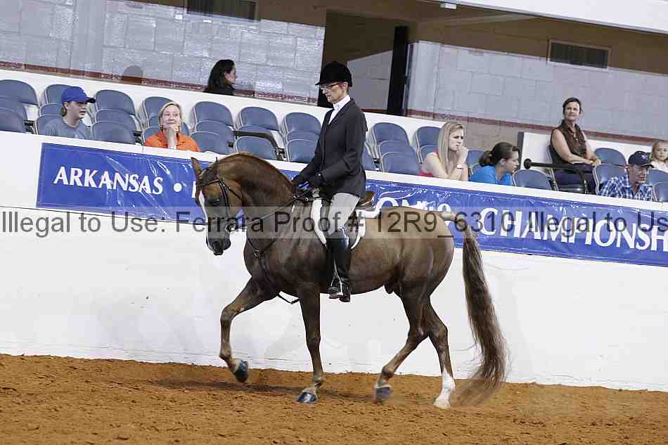 Proof 12r9_6310