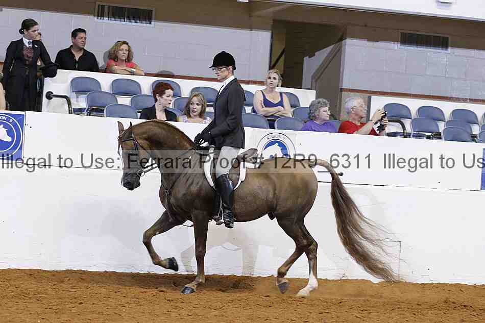 Proof 12r9_6311