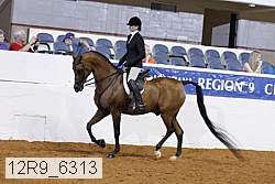12r9_6313 proof