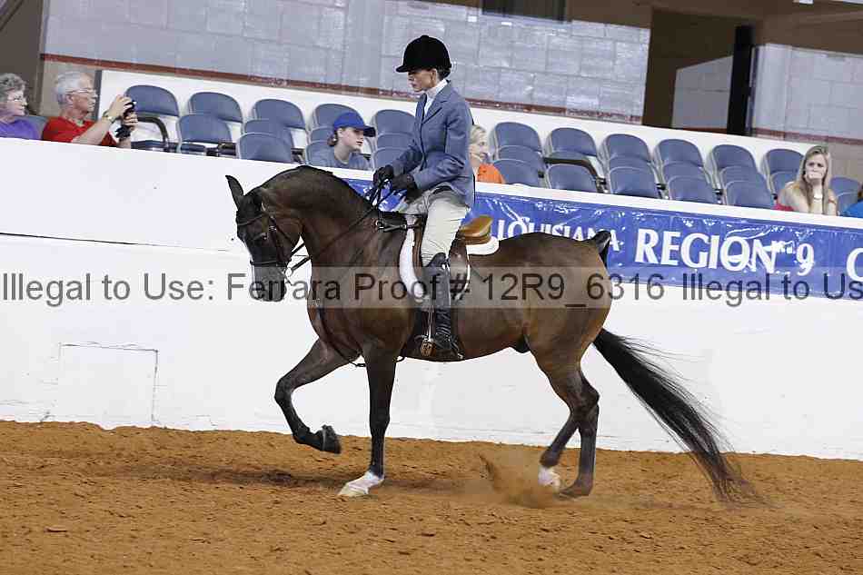 Proof 12r9_6316