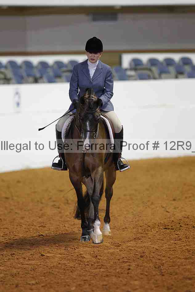 Proof 12r9_6322