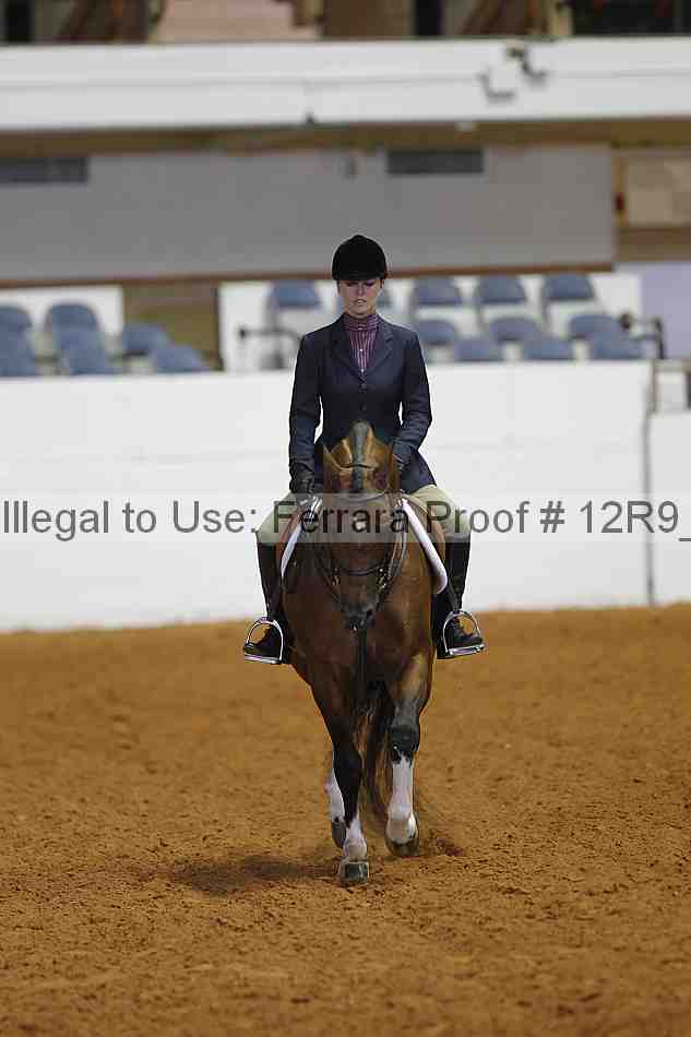 Proof 12r9_6345