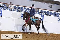 12r9_6358 proof