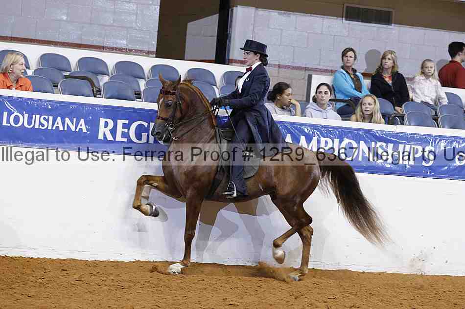 Proof 12r9_6367