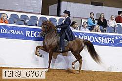 12r9_6367 proof