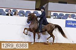 12r9_6368 proof