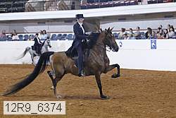 12r9_6374 proof