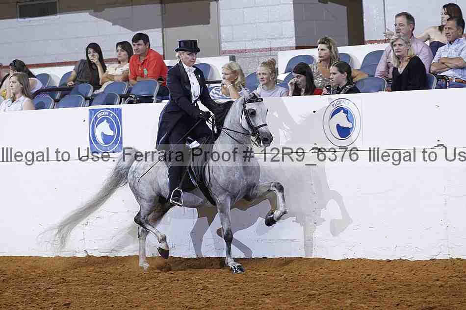 Proof 12r9_6376