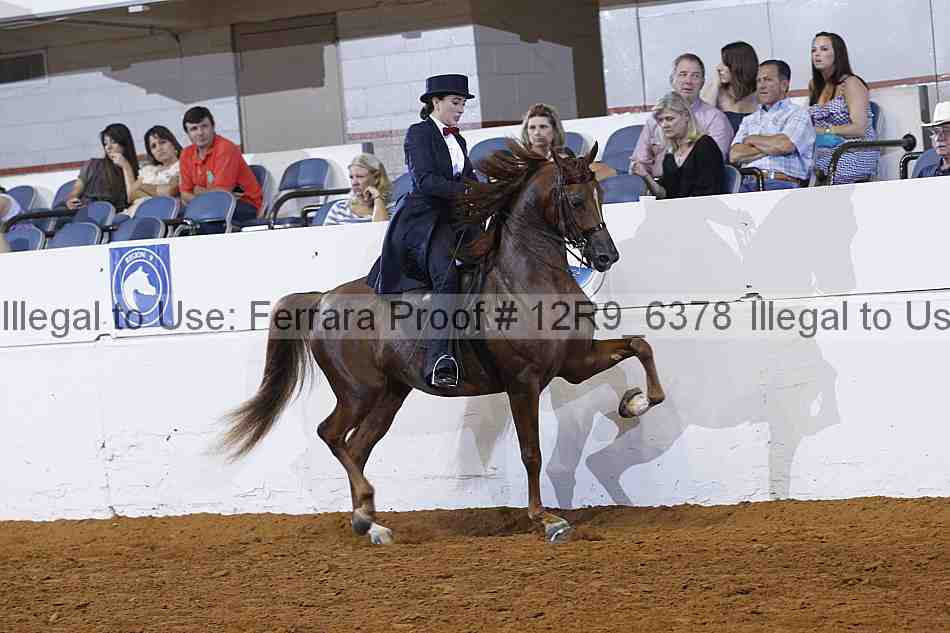 Proof 12r9_6378