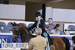 12r9_6382 proof
