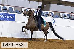 12r9_6388 proof
