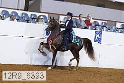 12r9_6393 proof