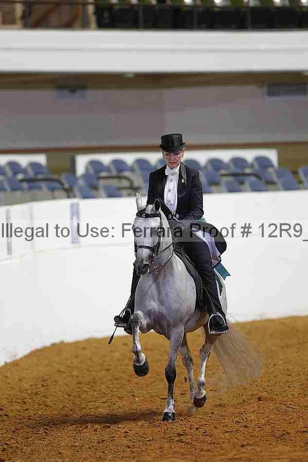Proof 12r9_6396