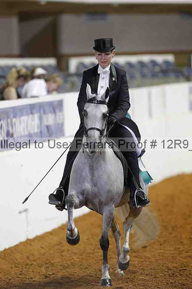 Proof 12r9_6397