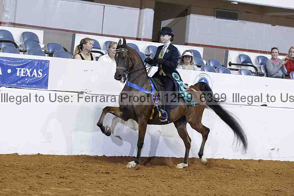 Proof 12r9_6399