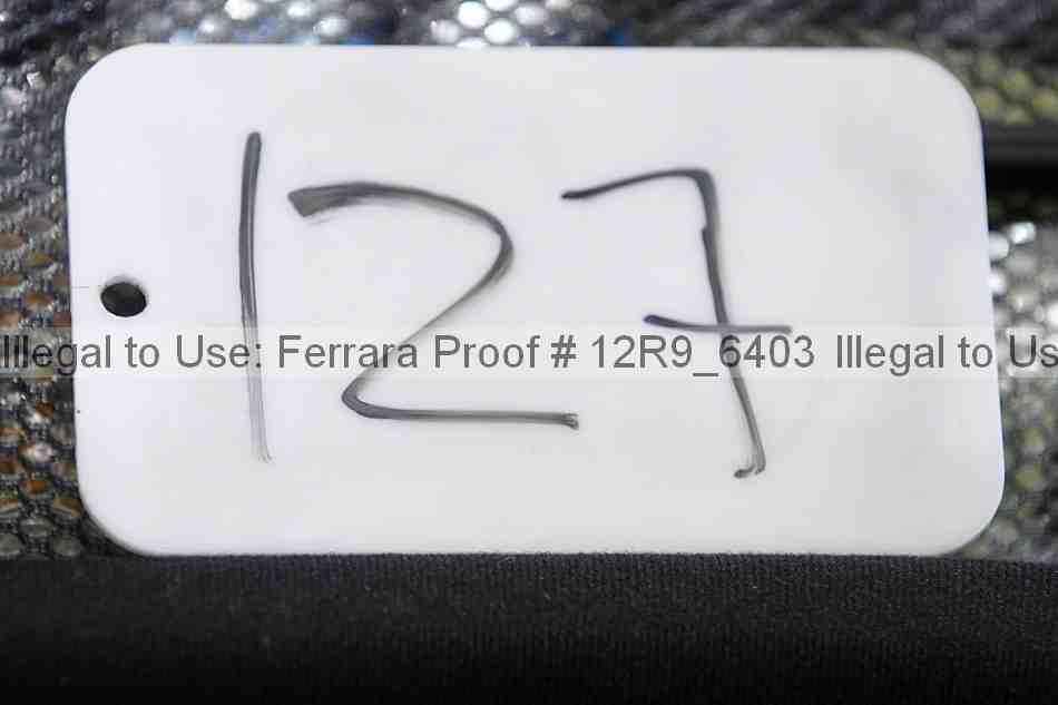 Proof 12r9_6403