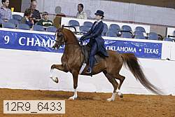 12r9_6433 proof