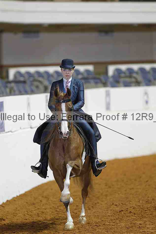 Proof 12r9_6434