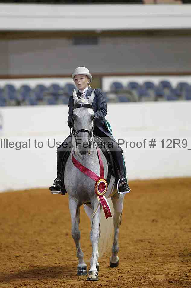 Proof 12r9_6438