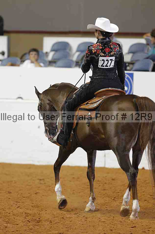 Proof 12r9_6465