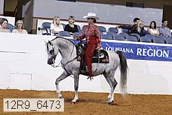 12r9_6473 proof