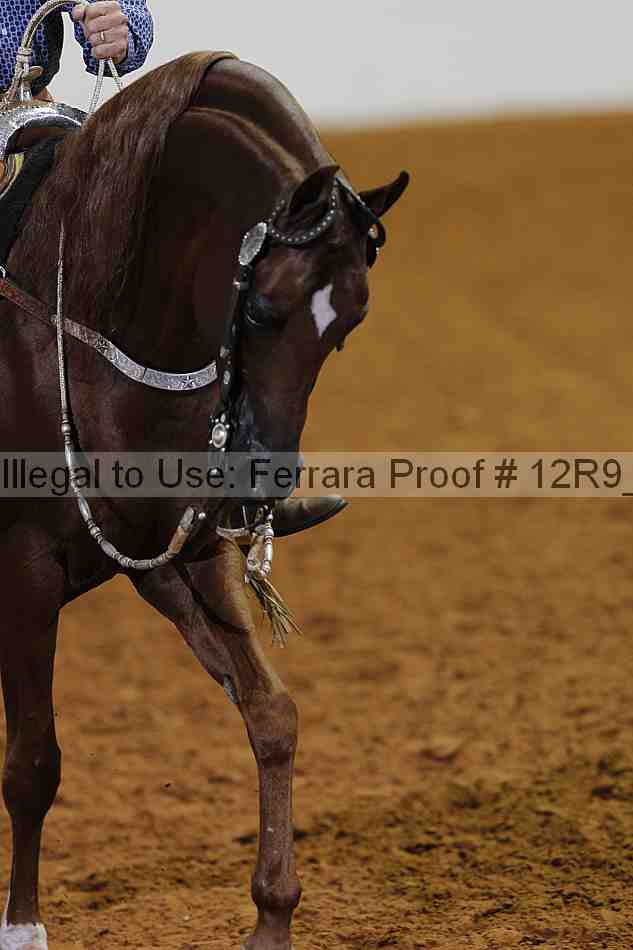 Proof 12r9_6475