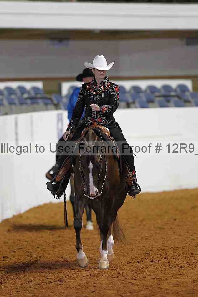 Proof 12r9_6485