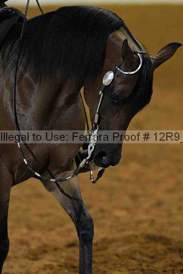 Proof 12r9_6490