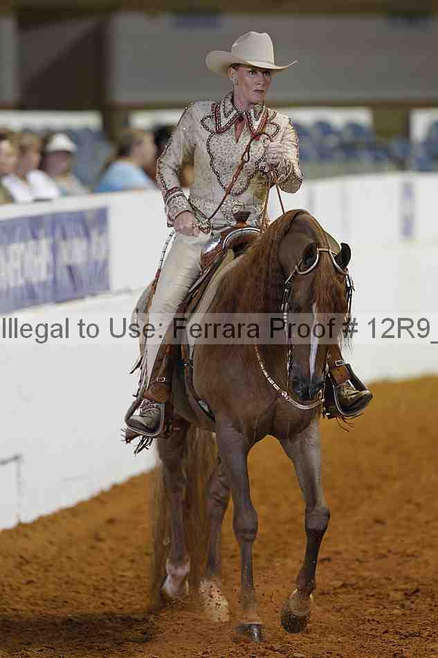 Proof 12r9_6493
