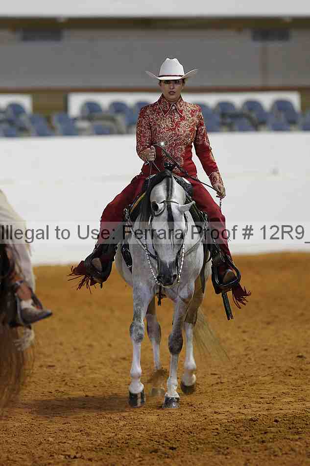 Proof 12r9_6496