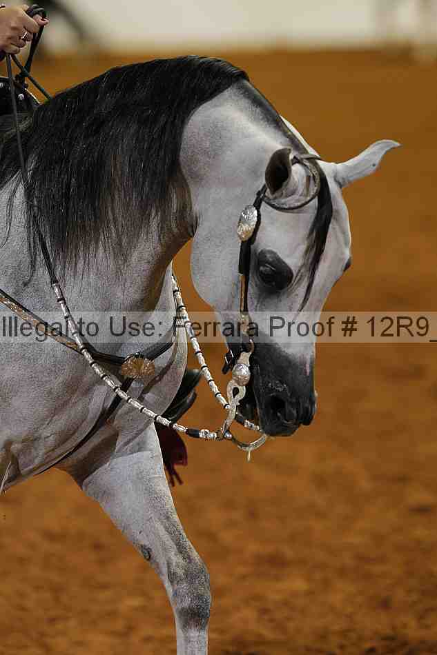 Proof 12r9_6501