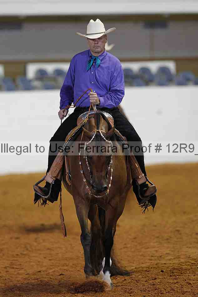 Proof 12r9_6523