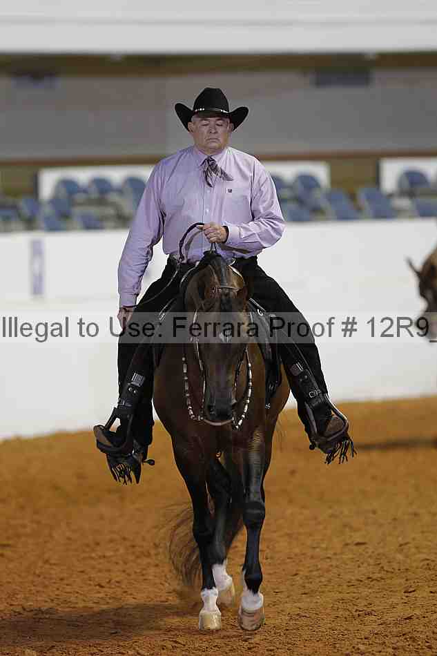Proof 12r9_6531
