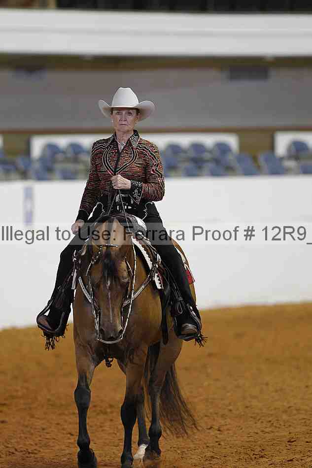 Proof 12r9_6534