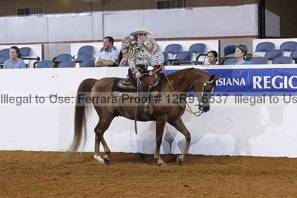 Proof 12r9_6537