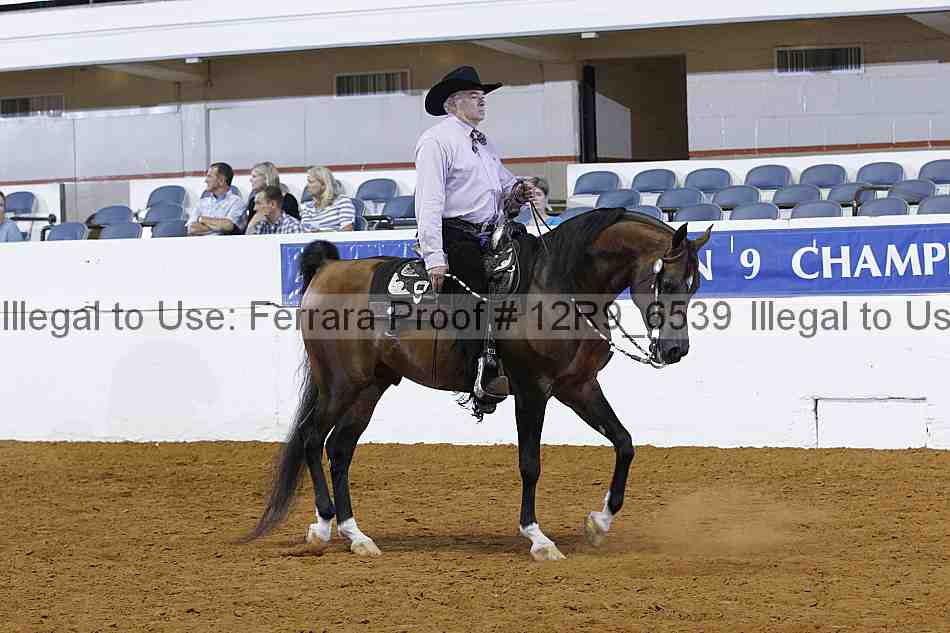 Proof 12r9_6539