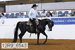 12r9_6543 proof