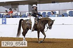12r9_6544 proof