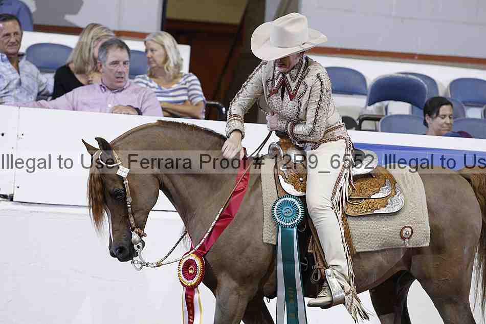 Proof 12r9_6552