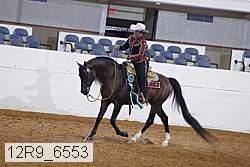 12r9_6553 proof