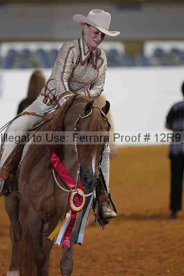 Proof 12r9_6560