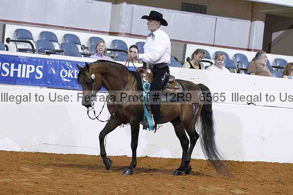 Proof 12r9_6565