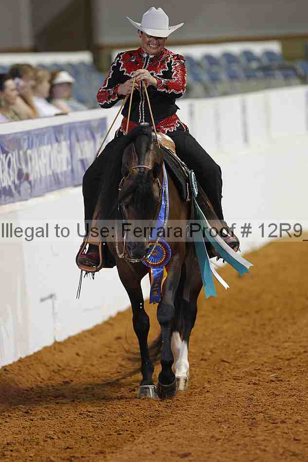 Proof 12r9_6566