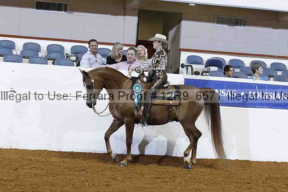 Proof 12r9_6571
