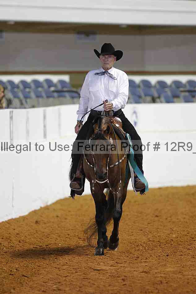 Proof 12r9_6574